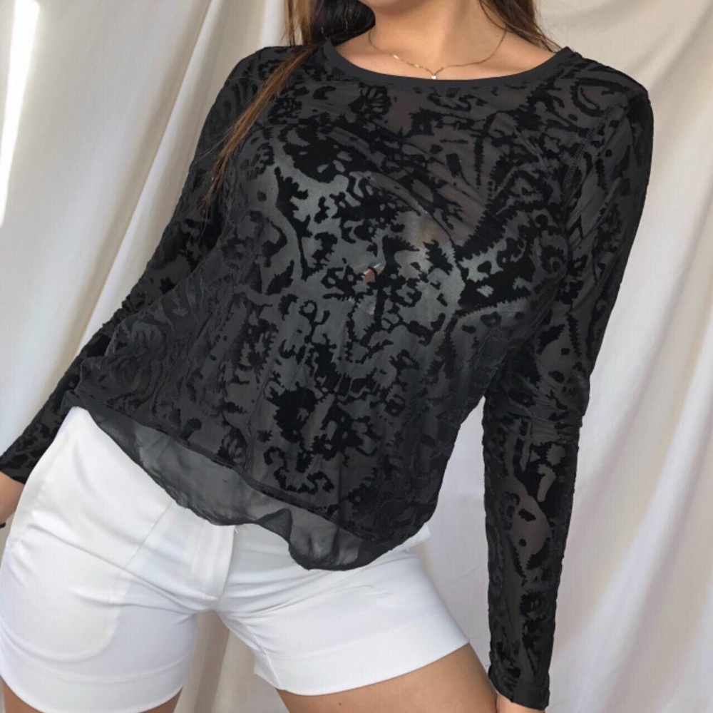 Black velvet sheer long sleeve blouse